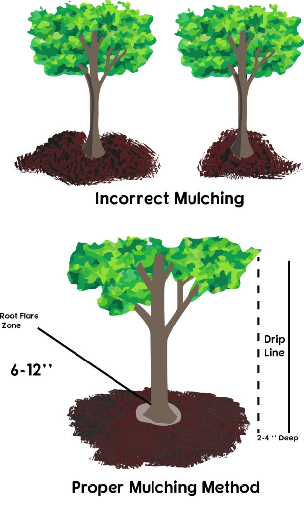 Tree mulching